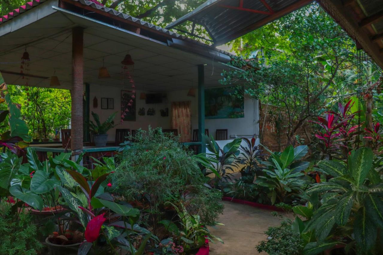Levona Garden Resort Habarana Kültér fotó