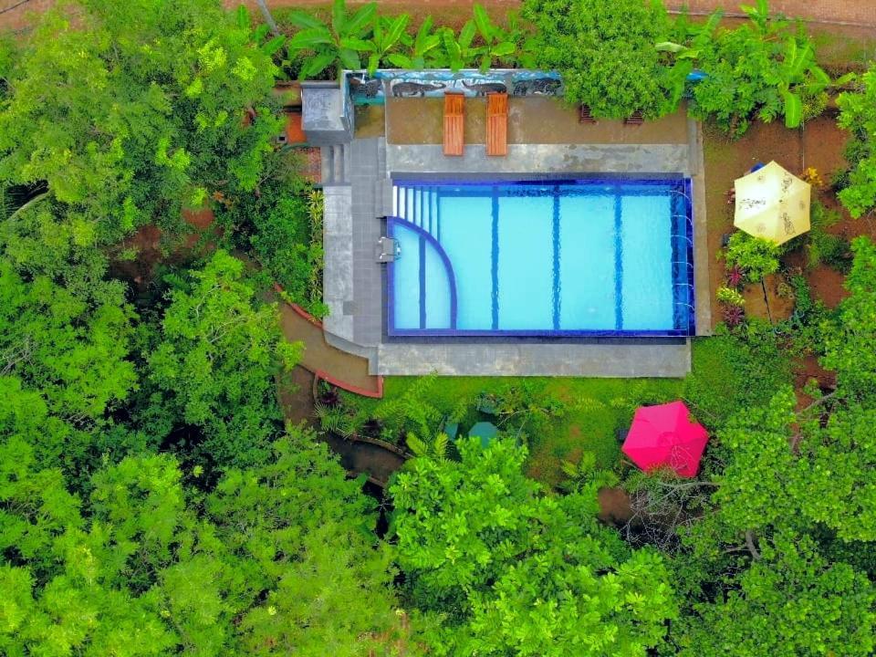 Levona Garden Resort Habarana Kültér fotó