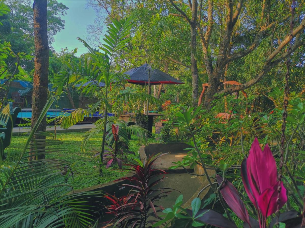 Levona Garden Resort Habarana Kültér fotó