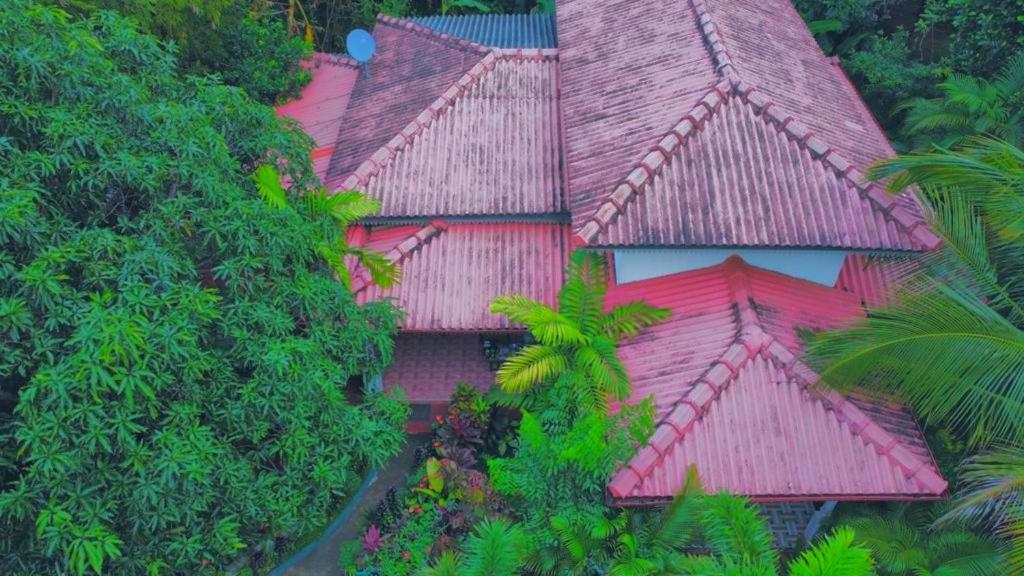 Levona Garden Resort Habarana Kültér fotó