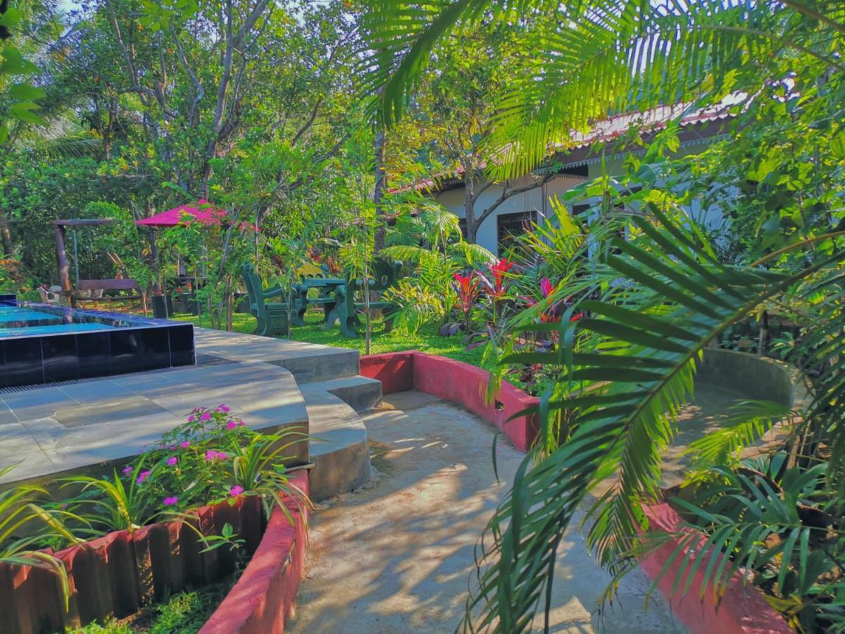 Levona Garden Resort Habarana Kültér fotó