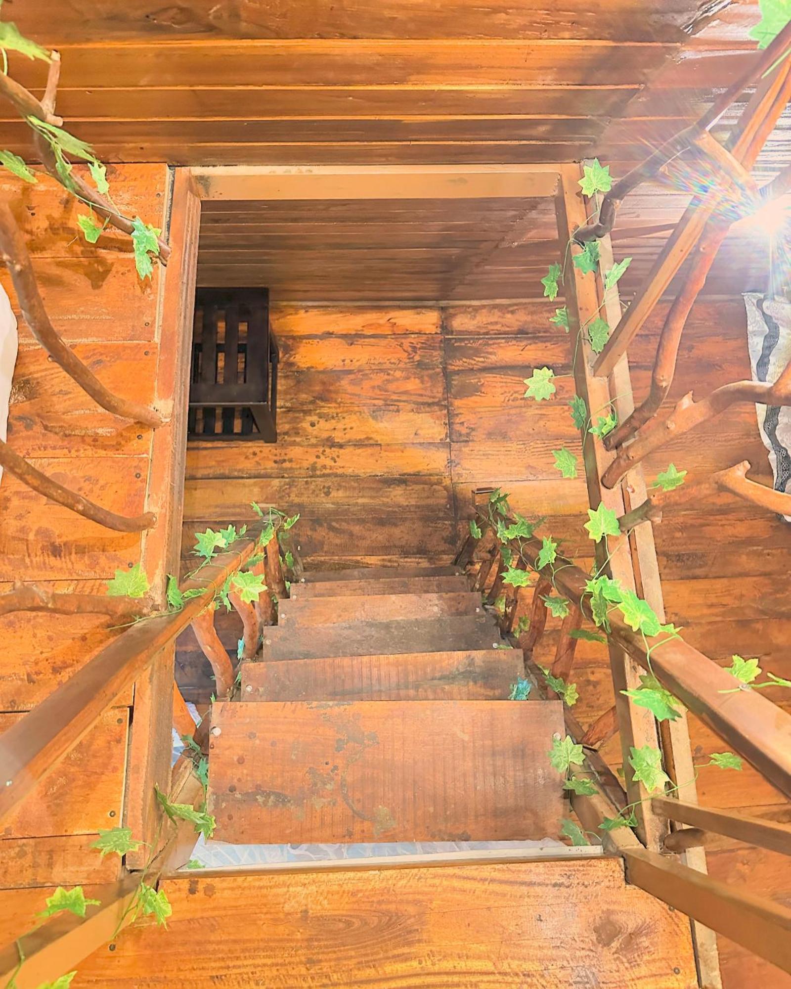 Levona Garden Resort Habarana Kültér fotó